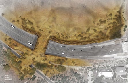 overhead look at cars driving surrounded by grassy area