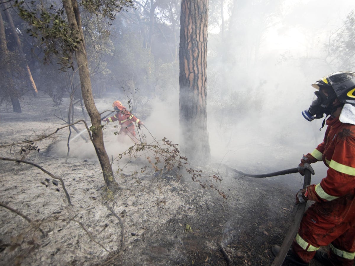 Italian Firefighter Filmed Starting Blaze Amid Wildfires