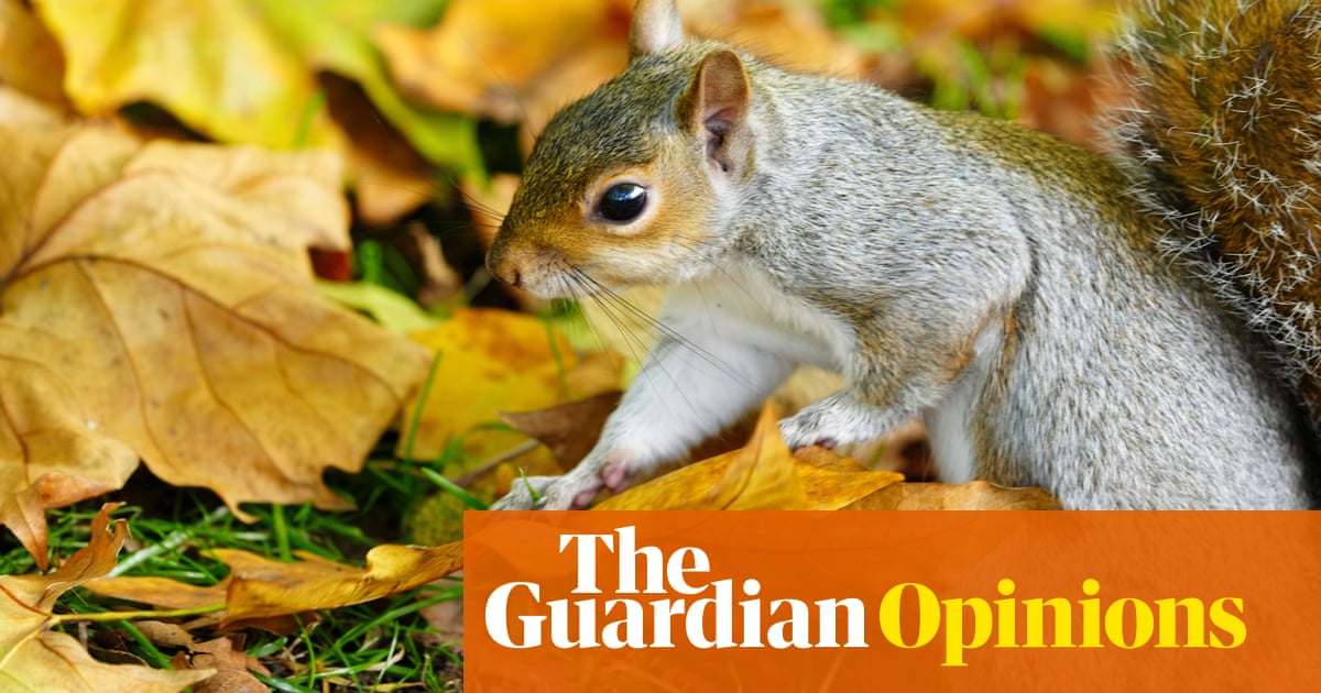 Immigration’s a hot topic – and it applies to non-native plants, animals and insects, all over the world | Tim Blackburn Immigration’s a hot topic – and it applies to non-native plants, animals and insects, all over the world | Tim Blackburn