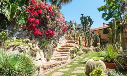 Cactii at the Pallanca garden.