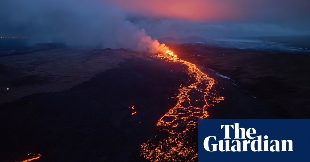 Biking chickens and mating storks: photos of the day – Thursday - The Guardian