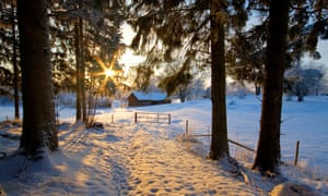 A Swedish farm