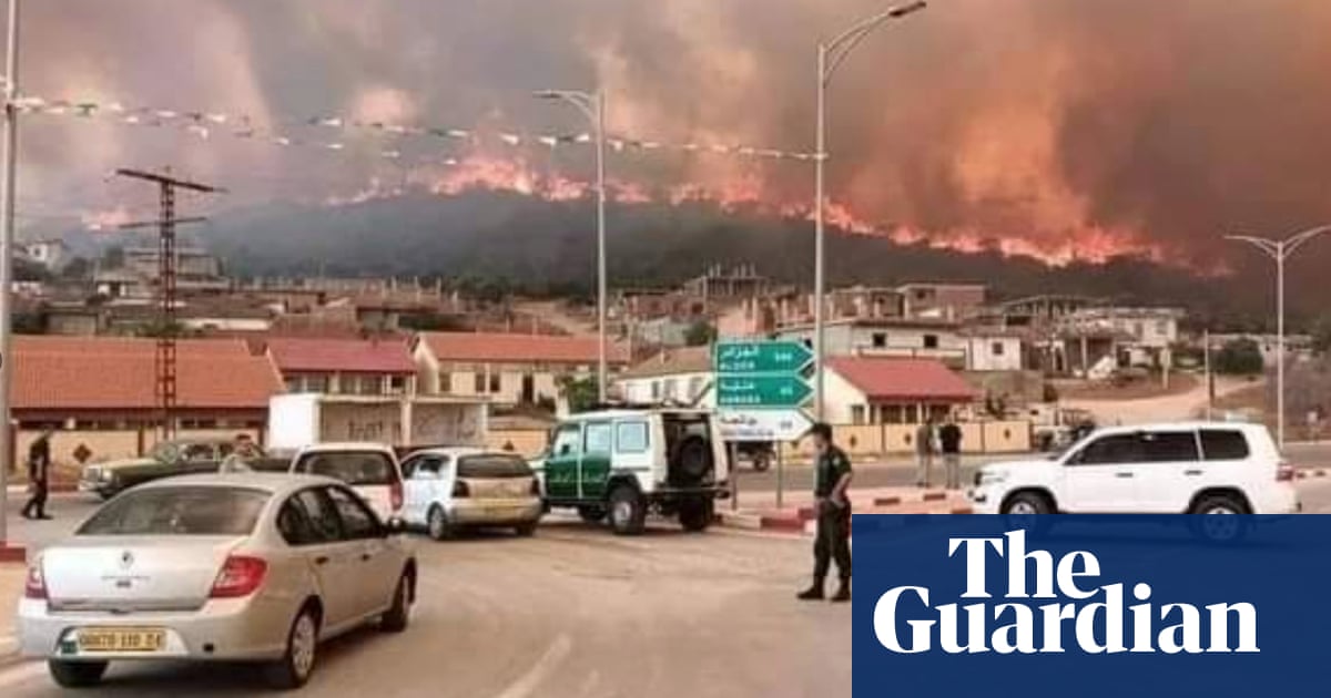 At least 26 killed and dozens injured by forest fires in northern Algeria