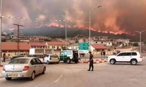 Fires break out at Mount Al-Karkour on the outskirts of the city of El Tarf.