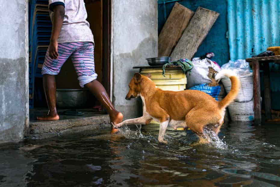 A person with a dog wade through water to enter a house in Keta