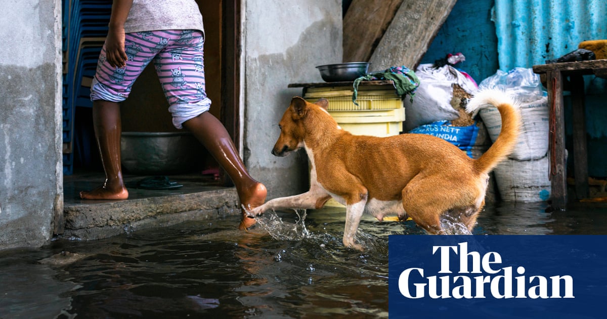 ‘We have to use a boat to commute’: coastal Ghana hit by climate crisis