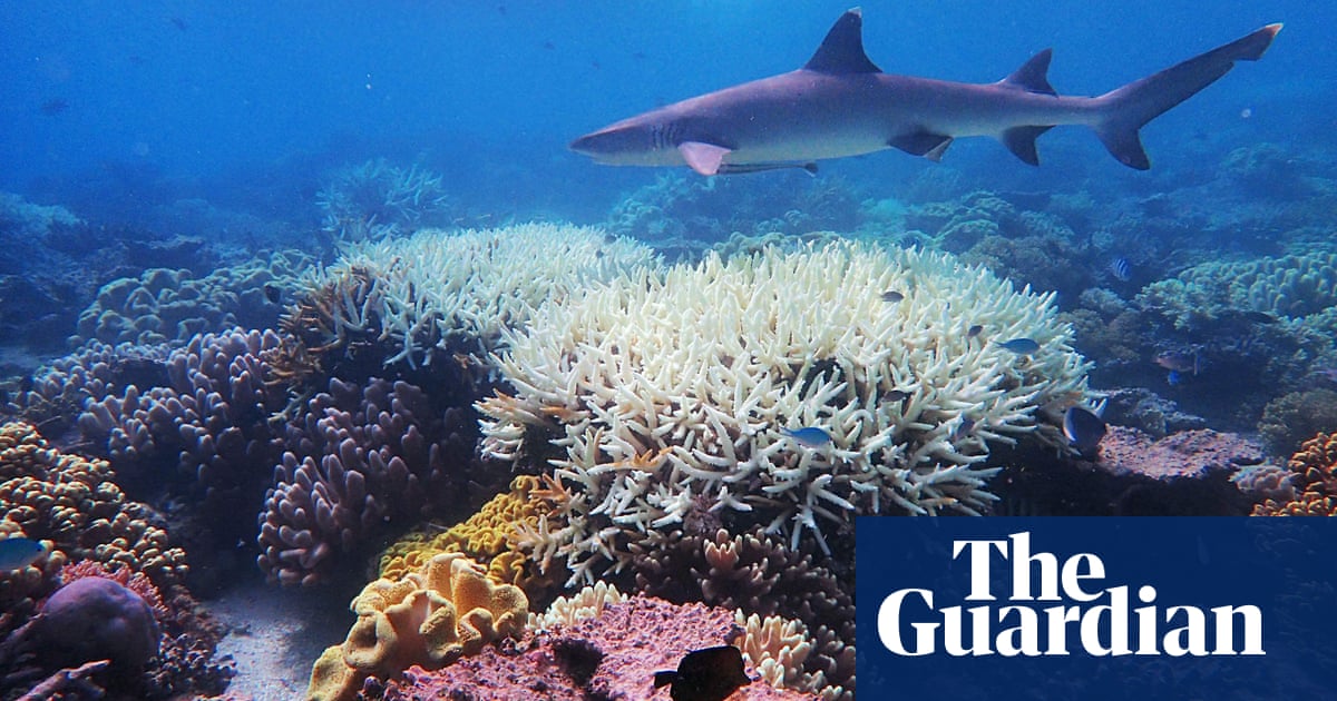 UN body pushed to demand stronger climate action from Australia to save Great Barrier Reef