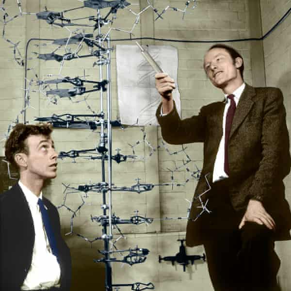 James Watson and Francis Crick with their model of part of a DNA molecule, 1953.
