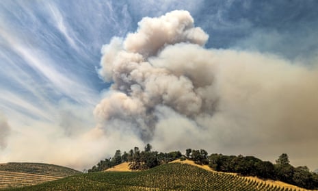 A plume rises over a vineyard in Napa county, California, as the Hennessey fire burns, 18 August 2020.