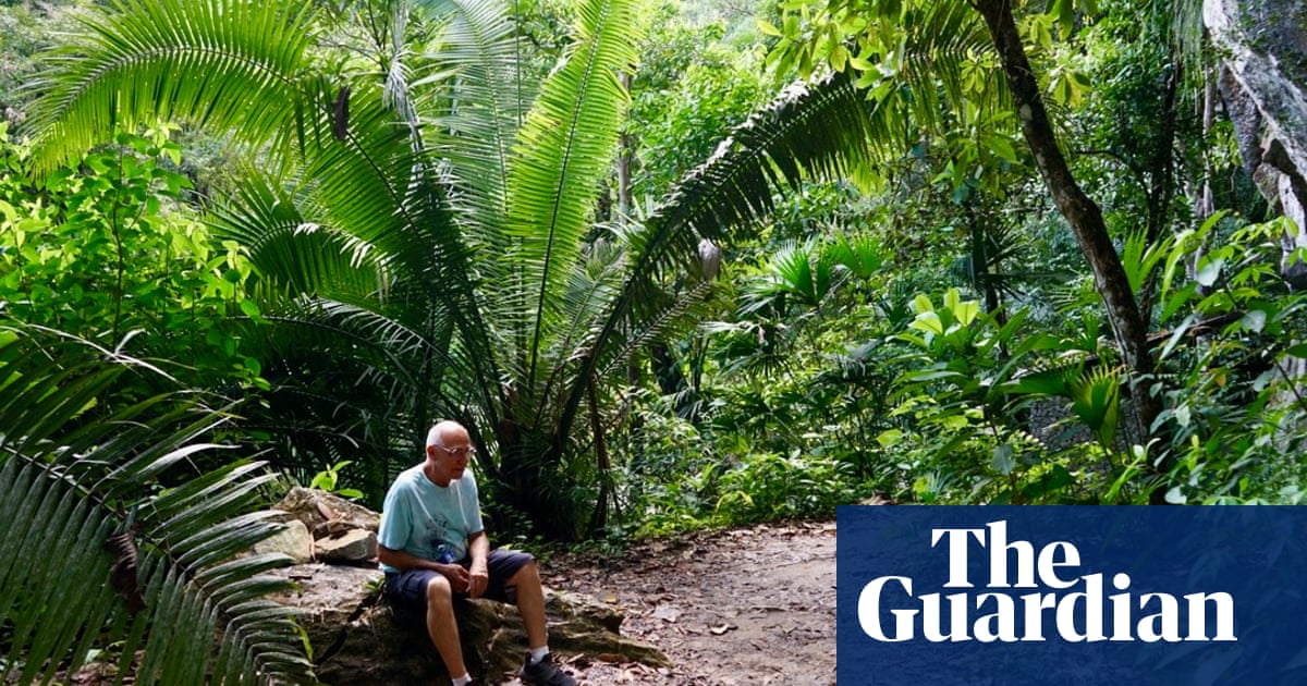 ‘I felt death in the flames’: how lighting a forest fire inspired one man to transform a barren ranch into rainforest | Colombia ‘I felt death in the flames’: how lighting a forest fire inspired one man to transform a barren ranch into rainforest | Colombia