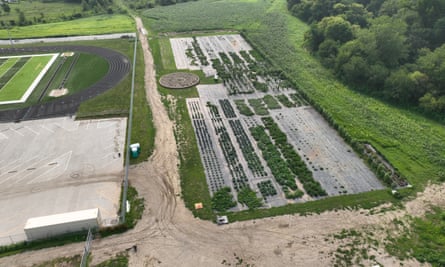 An aerial view of rows of green plants partly covered in clear plastic.