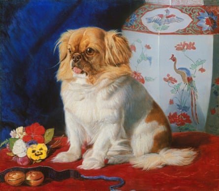 The 1861 portrait of Looty the pekingese by Friedrich Wilhelm Keyl. Royal Collection Trust © His Majesty King Charles III 2023