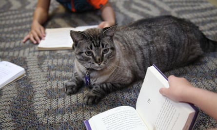 Browser the cat sits among a group of children being read to in the city’s public library on Thursday.