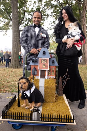 Two owners and their two dogs dressed as the Addams family.