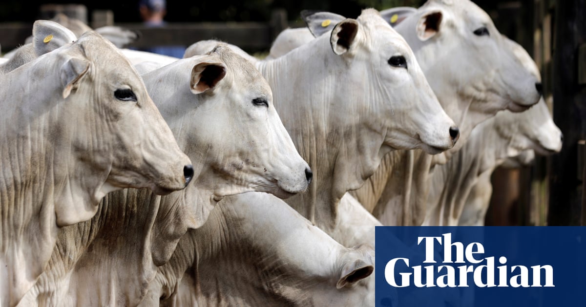 Revealed: new evidence links Brazil meat giant JBS to Amazon deforestation