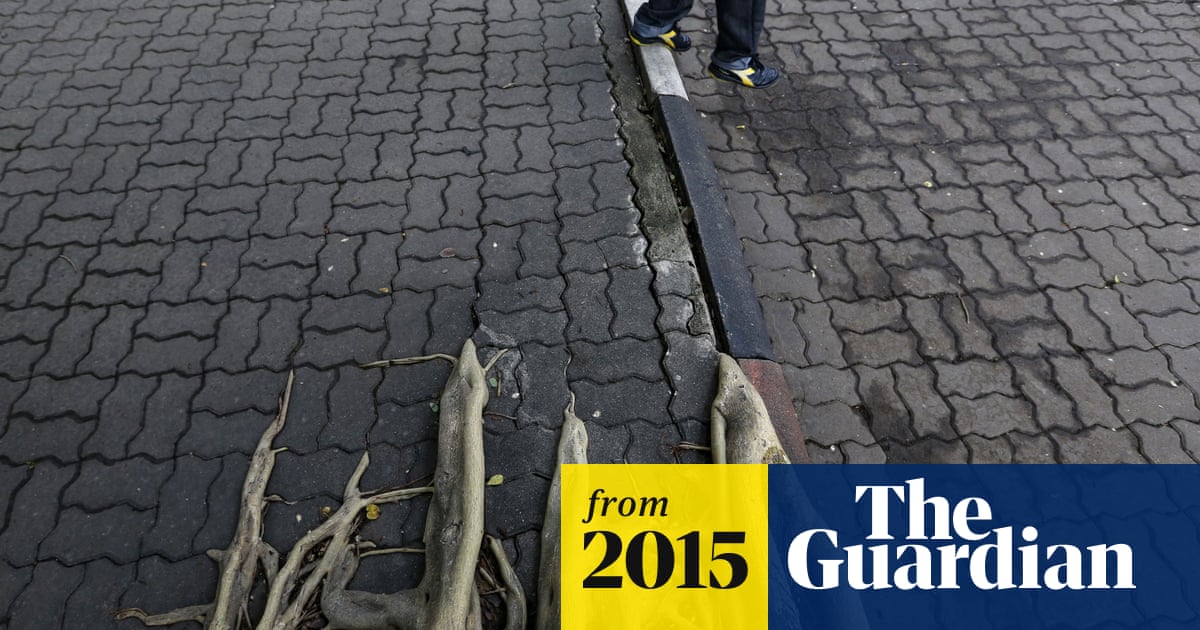 Root force: unstoppable urban trees – in pictures