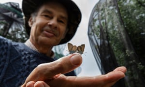 The Long Read Martin White Butterfly Breeder<br>For The Guardian. The Long Read with Patrick Barkham.
Pictures for feature with Ecologist and rare butterfly breeder Martin White of Worksop. Martin is suffering from cancer but is still persevering with breeding and releasing rare butterflies around the country which he has done for many years.
Pictured is Martin White in his home back garden with the with a mating pair of Mazarine Blue butterflies on his hand which he has bred.
Photo by Fabio De Paola