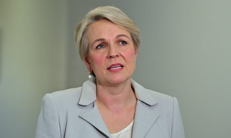 The social services minister, Tanya Plibersek.