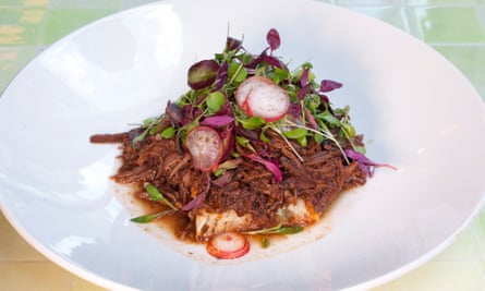 Shredded beef and slices of radish on a round white plate