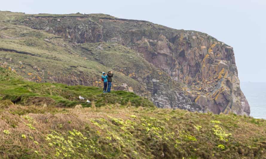 Birders scan the cliffs