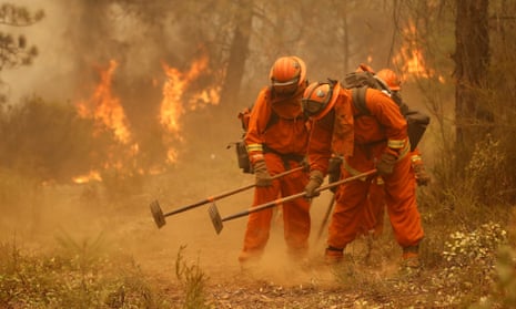 A California department of corrections work crew builds a containment line ahead of flames from a fire near Sheep Ranch, California, in 2015.
