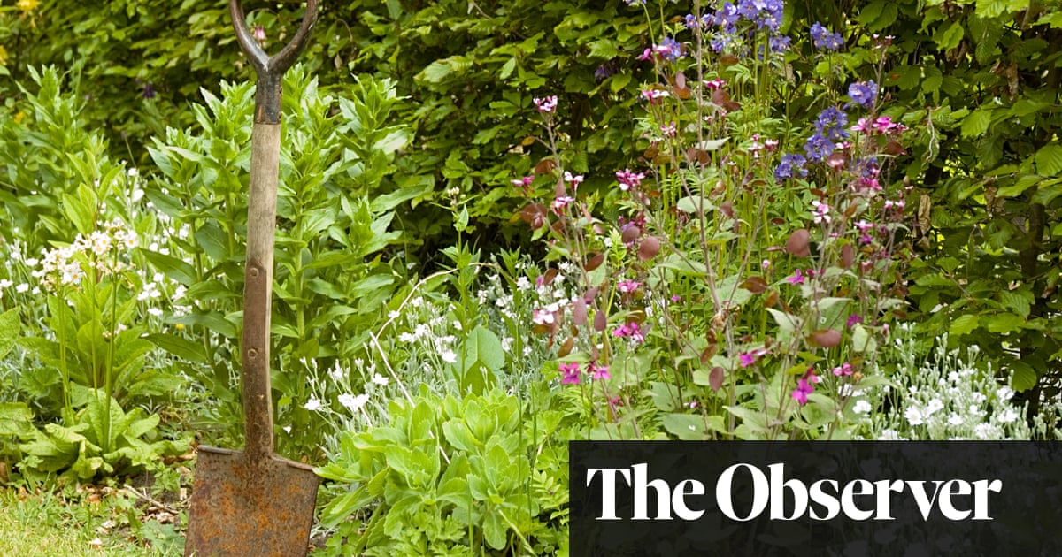 Ye olde gardening myths worth ignoring | Life and style | The Guardian