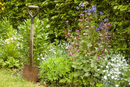 UK gardens: get growing now for a budget spring makeover | Home improvements UK gardens: get growing now for a budget spring makeover | Home improvements