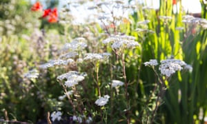 You forest bathe for all the reasons you already know: our busyness, our email overload, our general disconnect from nature.