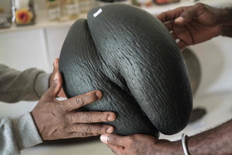 An oiled coco de mer shell is sold as a tourist souvenir in Seychelles International Airport