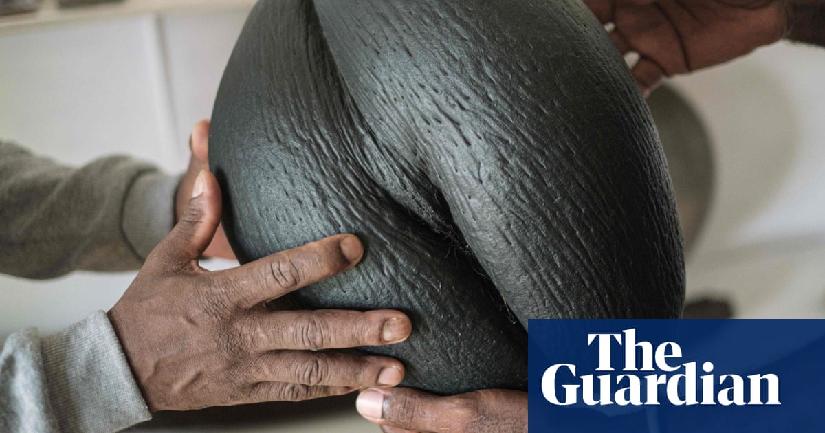 Nuts for coco de mer: islanders rally to save world’s biggest seed