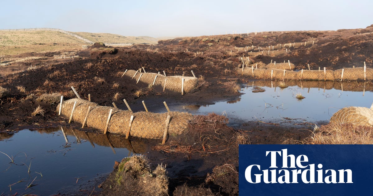 Burning ban failing to protect England’s peatlands, say conservation groups