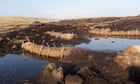 Burning ban failing to protect England’s peatlands, say conservation groups