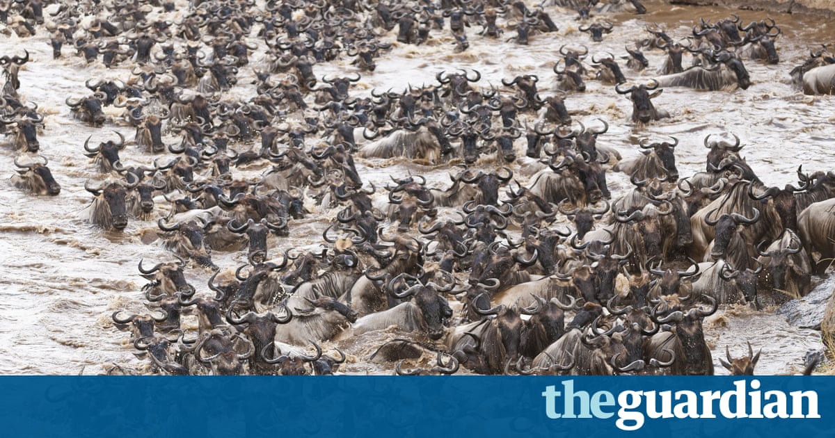 Social Media Marketing Benefits | newhairstylesformen2014.com From skyrises to traffic jams: our densely populated planet – in ...