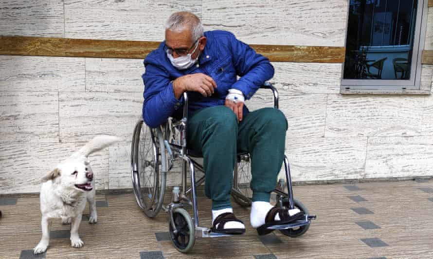 Patient dog waits for days outside hospital | Animals | The Guardian