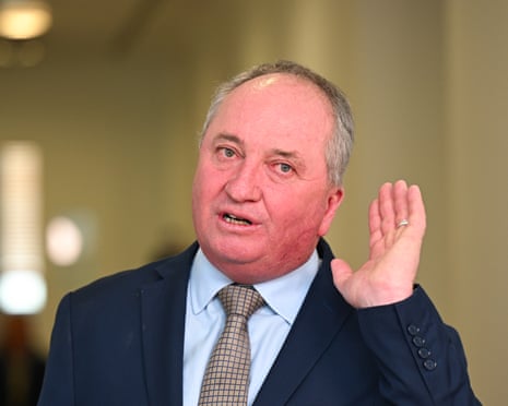One Nation MP Barnaby Joyce