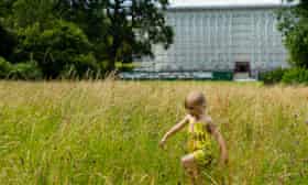 The meadow at the National Trust's Clandon Park, Surrey.