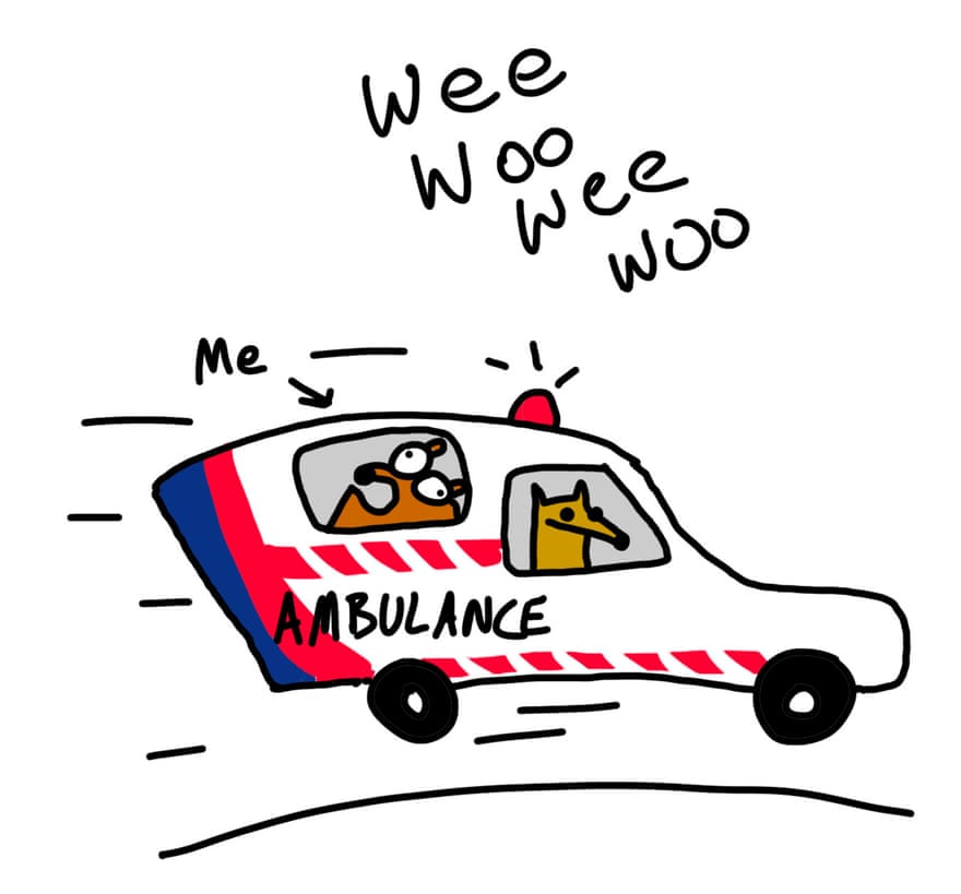 First Dog in ambulance