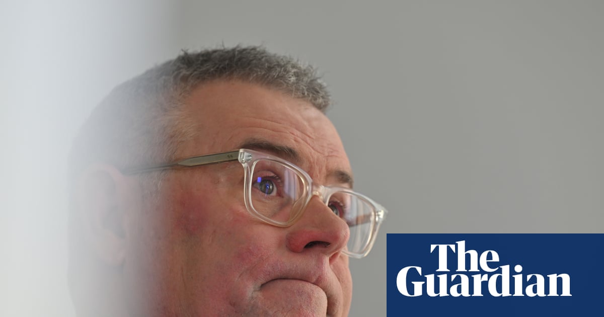 Labor’s attempts to woo Greens and Coalition on nature laws revealed amid criticism of ‘coin toss’