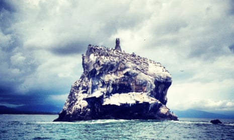 White Rocks Ghost Complex The White Rock by Anna Hope review – Mexican gods, looters and miracles ...