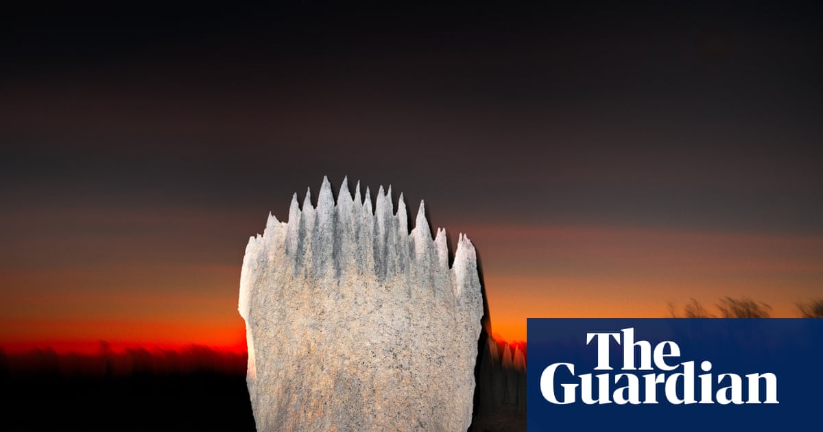 The language of termites: Liss Fenwick’s The Colony – in pictures