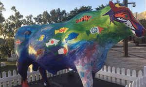 Taiwan flag painted over with blue fish design on bull’s front leg in Rockhampton ahead of beef expo