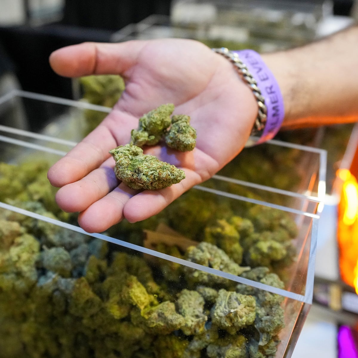 Trump administration moves to reclassify marijuana to schedule III drug