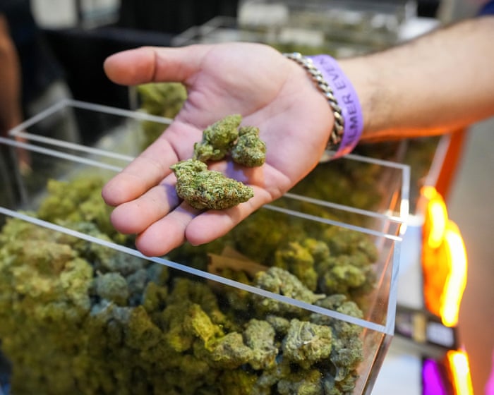 Trump administration moves to reclassify marijuana to schedule III drug