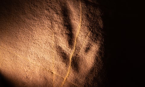 An ancient Indigenous petroglyph near the site of the proposed Middle Arm precinct in Darwin