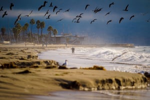 Santa Barbara, California, US, Seagulls take flight in the early morning