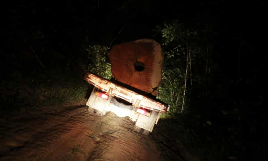 A truck carrying a tree extracted illegally from the Amazon rainforest drives at night near the city of Uruara, Para State.