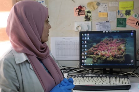 A young woman in a hijab and a lab coat looks at an image of coral on a computer