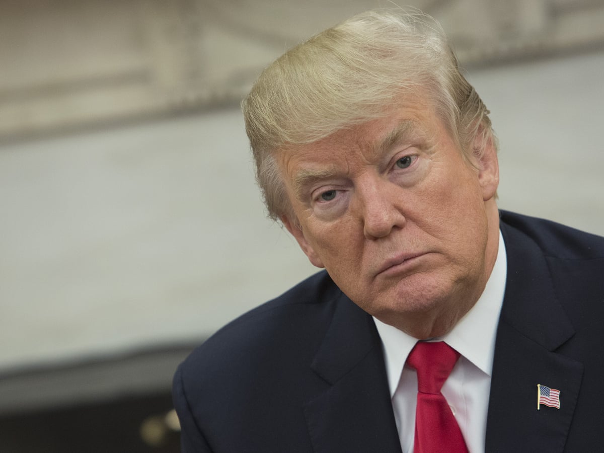 Having A High Iq Is A Curse Just Look At Donald Trump Arwa Mahdawi The Guardian