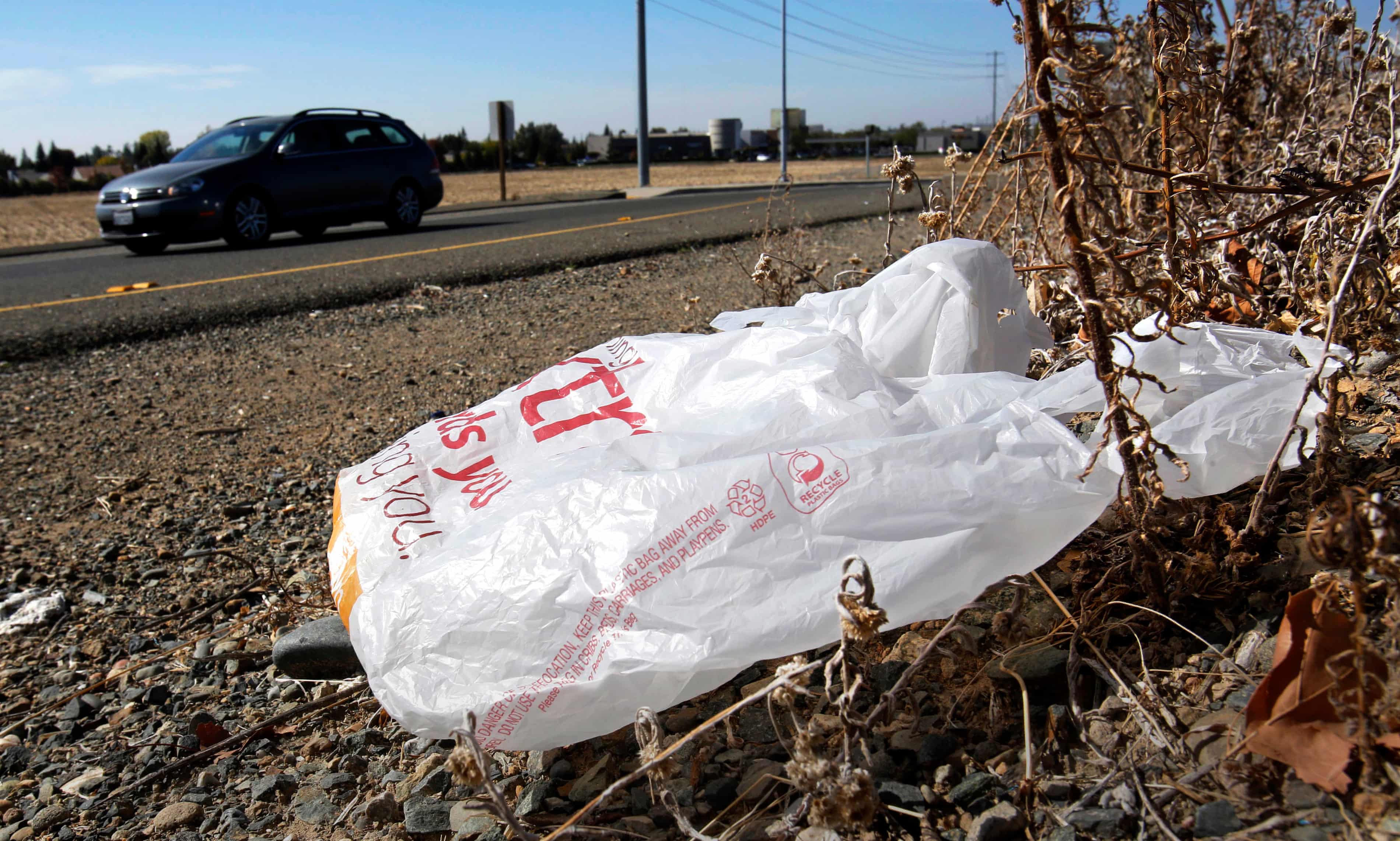 California bans all plastic bags in grocery stores