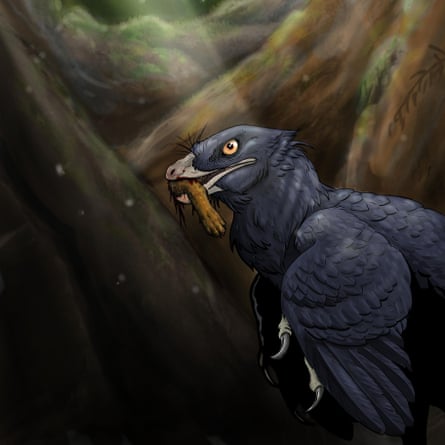 An artist’s impression of the small, feathered dinosaur known as microraptor, issued by Queen Mary University of London.